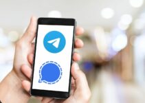 Alerts on Signal and Telegram
