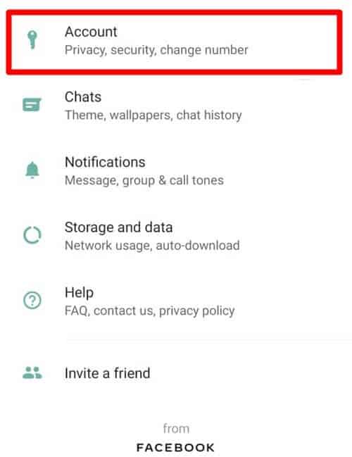 WhatsApp Messages Without Blue Tick