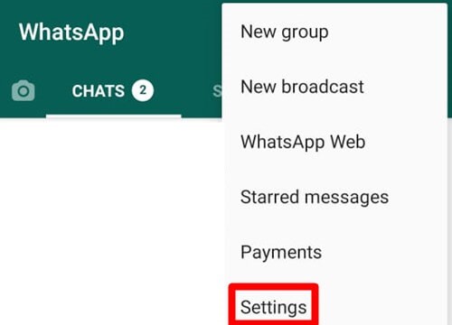 WhatsApp Messages Without Blue Tick