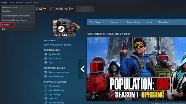 Steam Remote Play Together