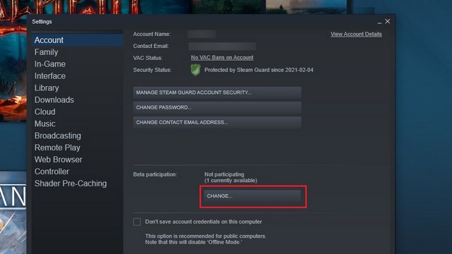 Steam Remote Play Together