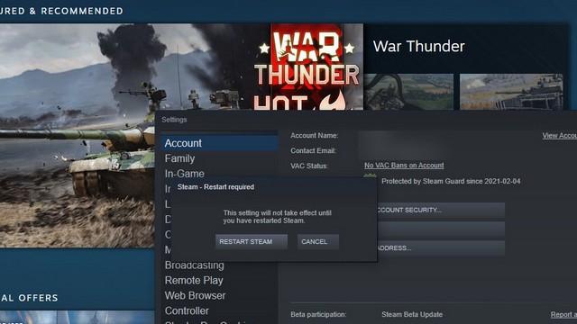 Steam Remote Play Together