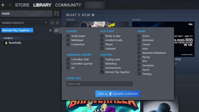 Steam Remote Play Together