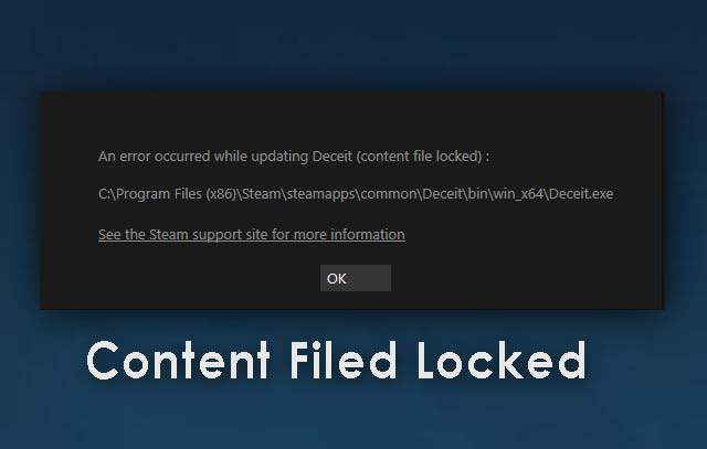 Paladins-Content File Locked
