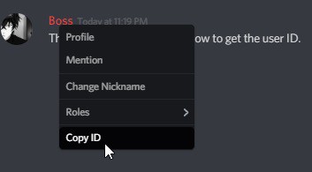 Discord Ip Grabber