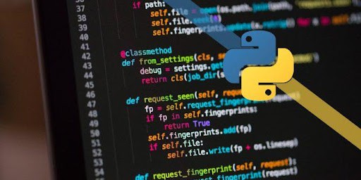 Why Use Python Web Development Services