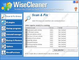 WiseCleaner