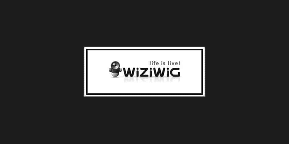WiziWig Alternatives