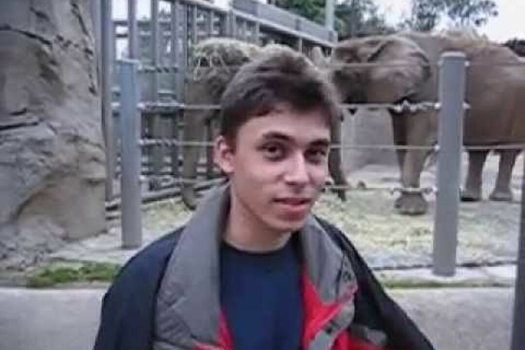 Jawed Karim