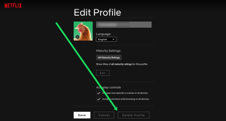 Delete Netflix Profile