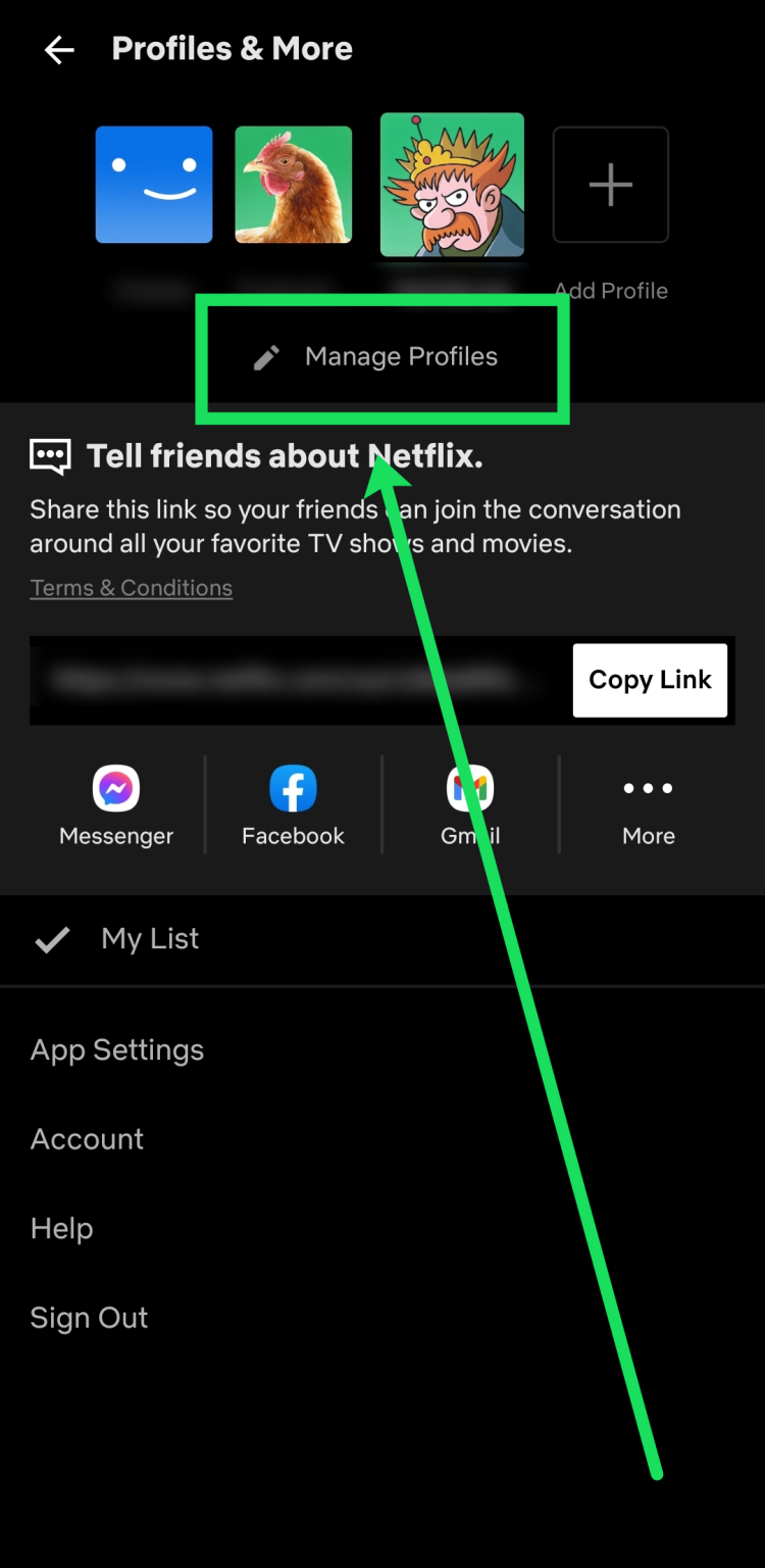 Delete Netflix Profile