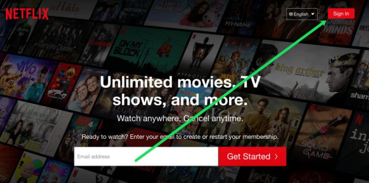 Delete Netflix Profile