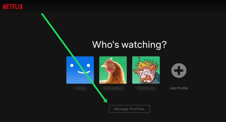 Delete Netflix Profile