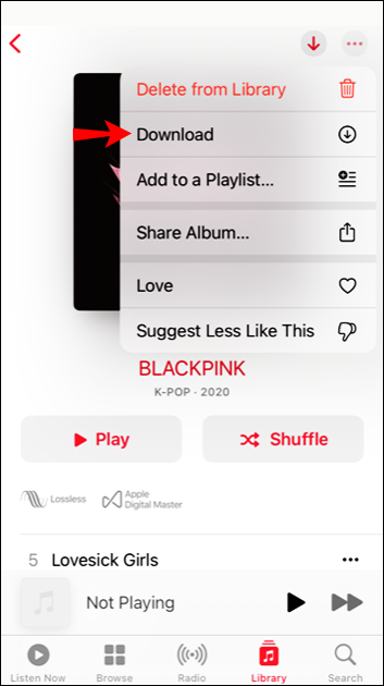 Download All Songs Apple Music