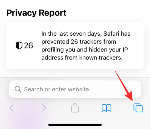 Check Private Browsing History iPhone