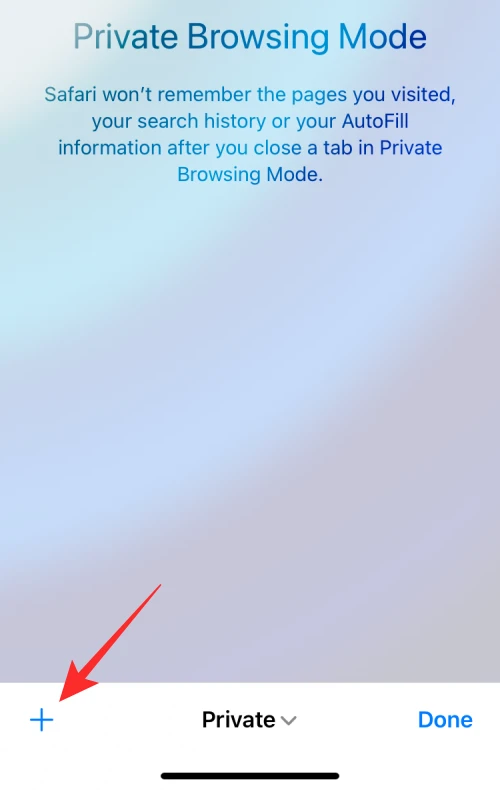 Check Private Browsing History iPhone