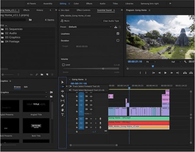 Professional Video Editing Software