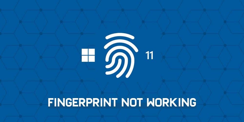 Fingerprint Sensor Not Working