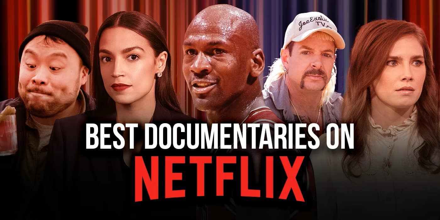 Netflix Documentaries of the Month of November
