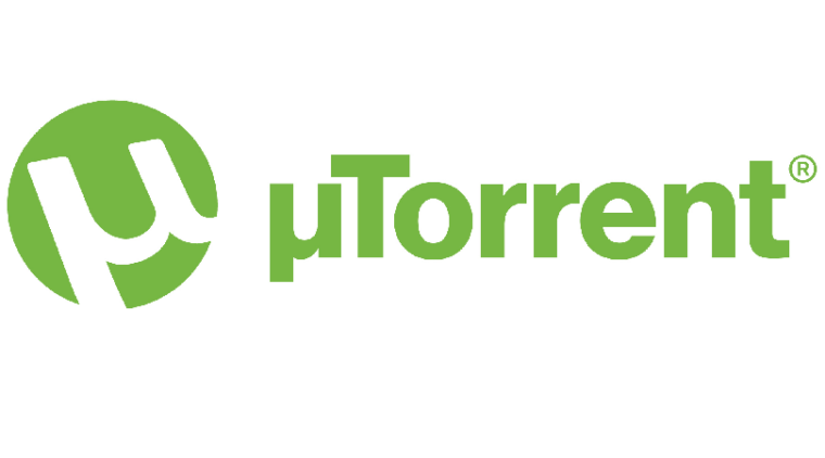 Torrent Websites 