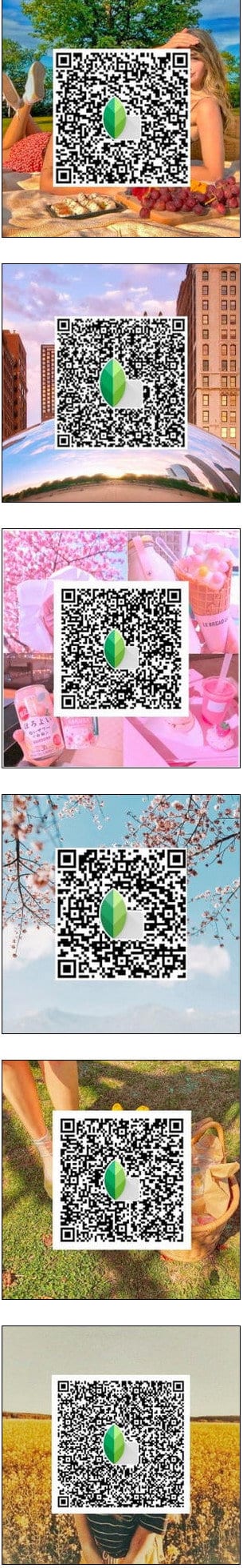 Snapseed Presets QR Codes