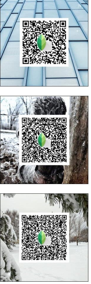 Snapseed Presets QR Codes