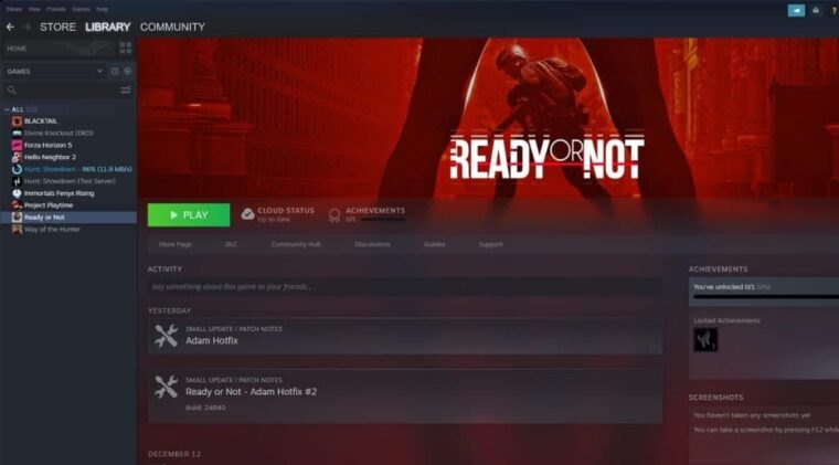Ready Or Not Multiplayer Not Working