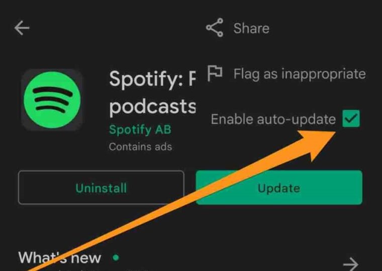 Spotify DJ AI Not Showing