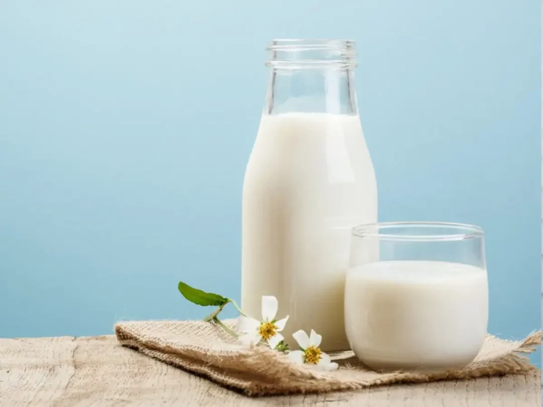 buffalo milk