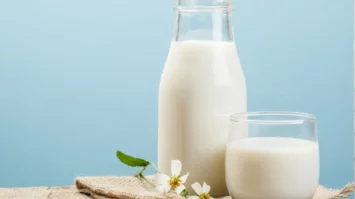 buffalo milk